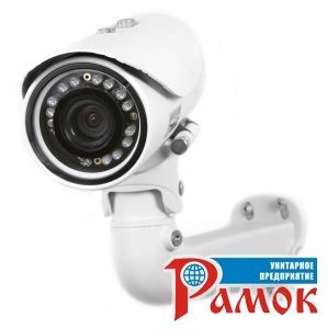 Уличная IP-камера NeoVizus NVC-i120B