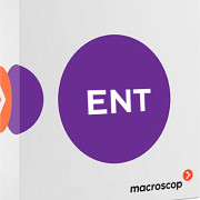 Macroscop Enterprise (лицензия на работу с 1 IP - камерой)