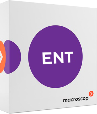 Macroscop Enterprise (лицензия на работу с 1 IP - камерой)